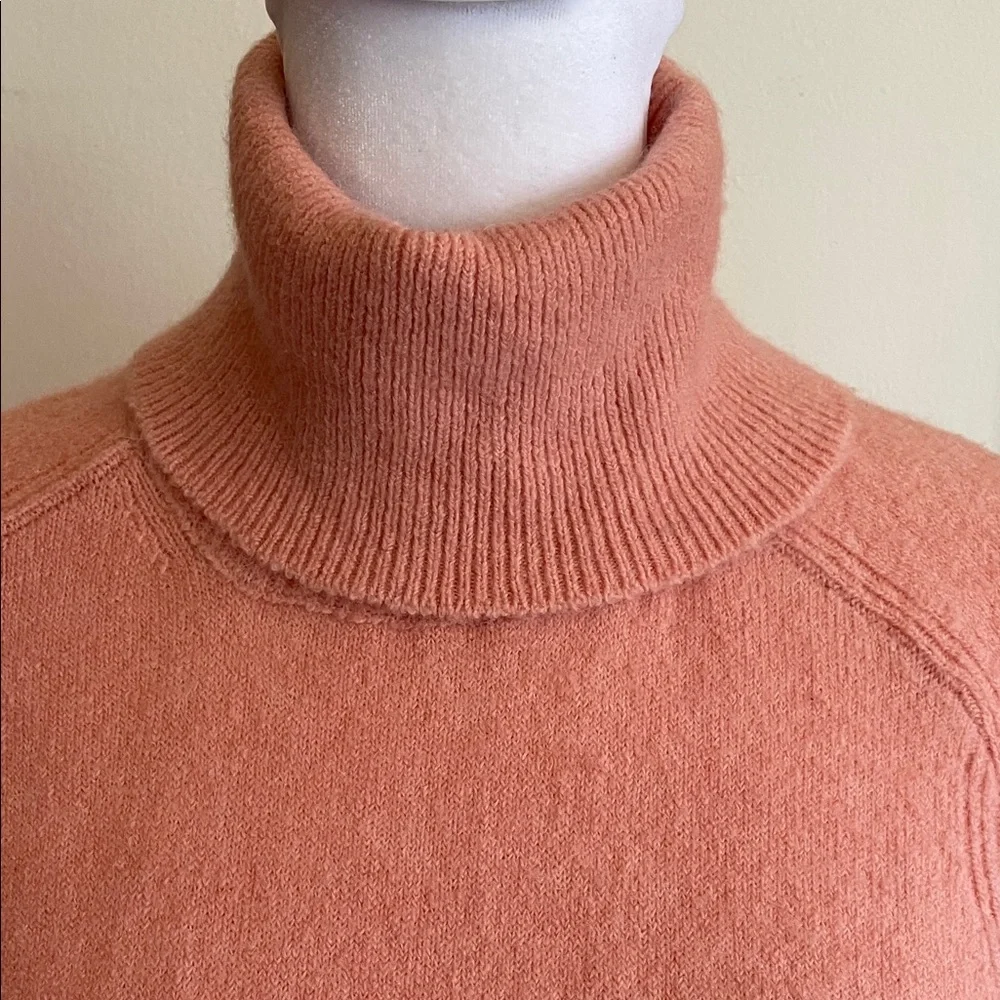 J. Crew chic turtleneck